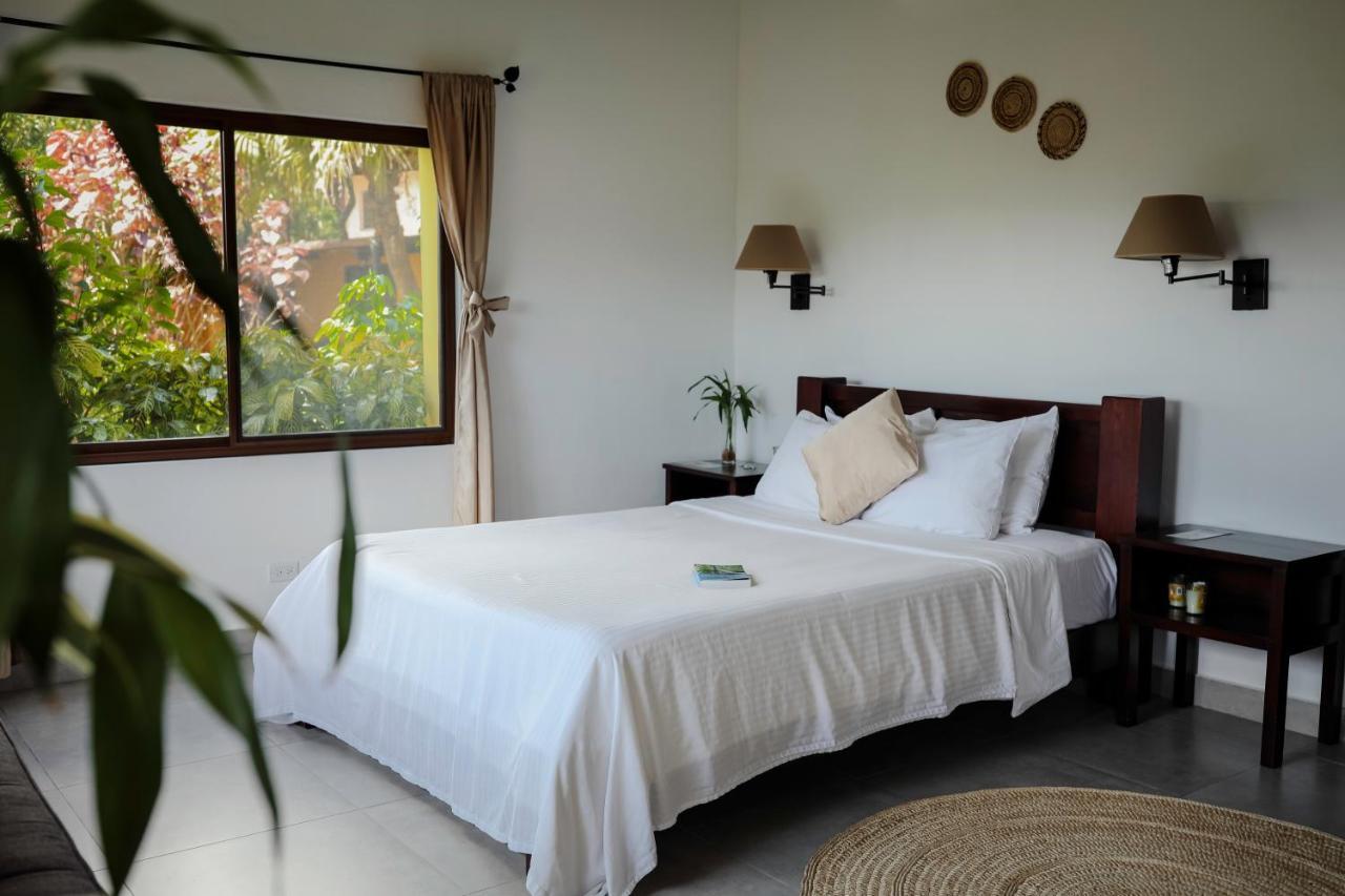 The Golden Frog Inn El Valle de Anton المظهر الخارجي الصورة