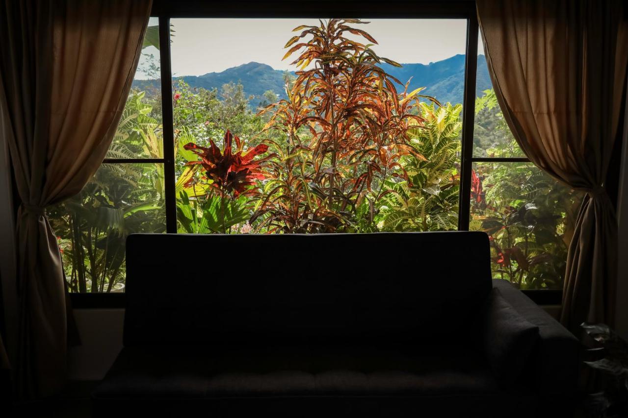 The Golden Frog Inn El Valle de Anton المظهر الخارجي الصورة