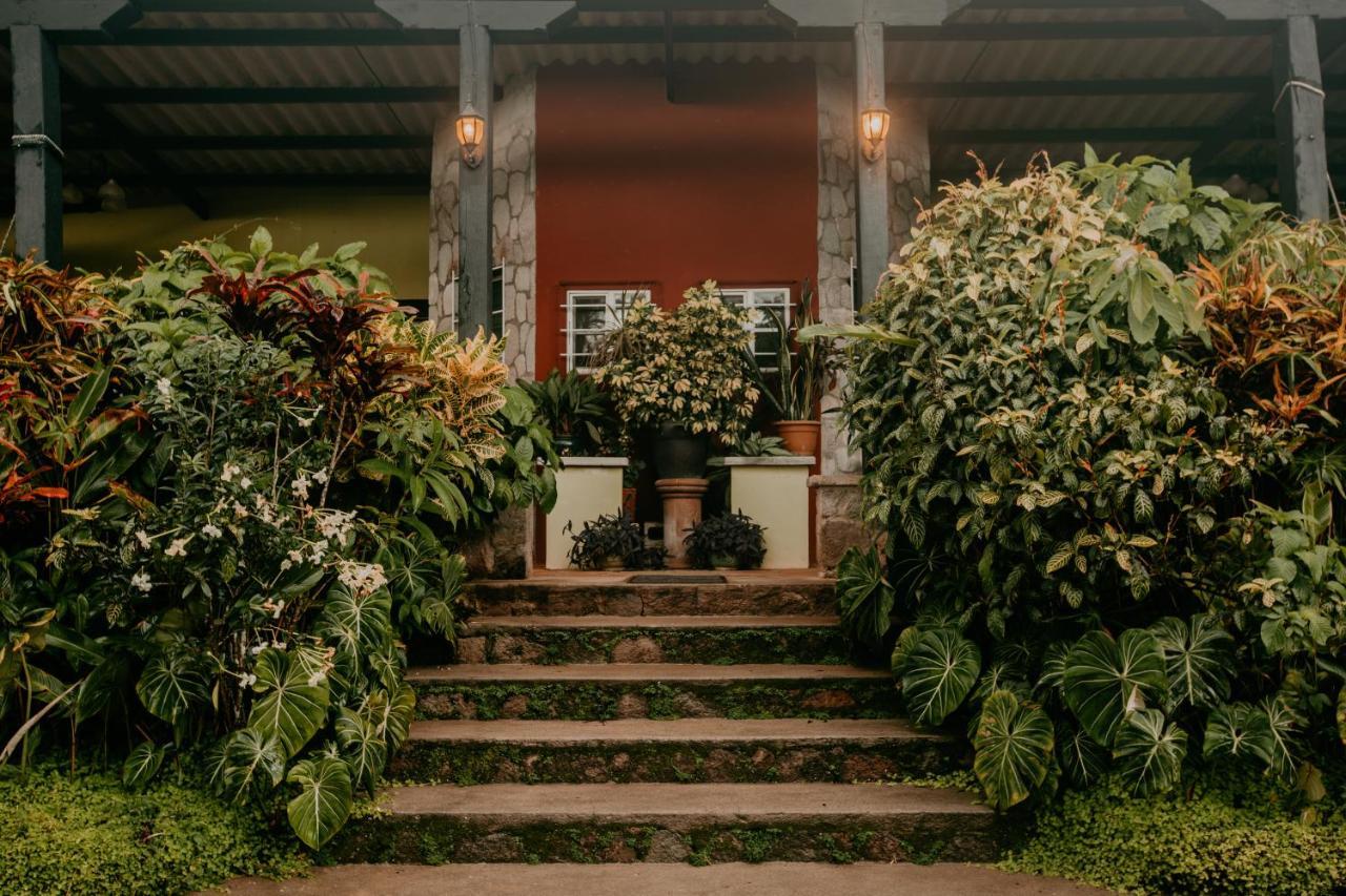 The Golden Frog Inn El Valle de Anton المظهر الخارجي الصورة