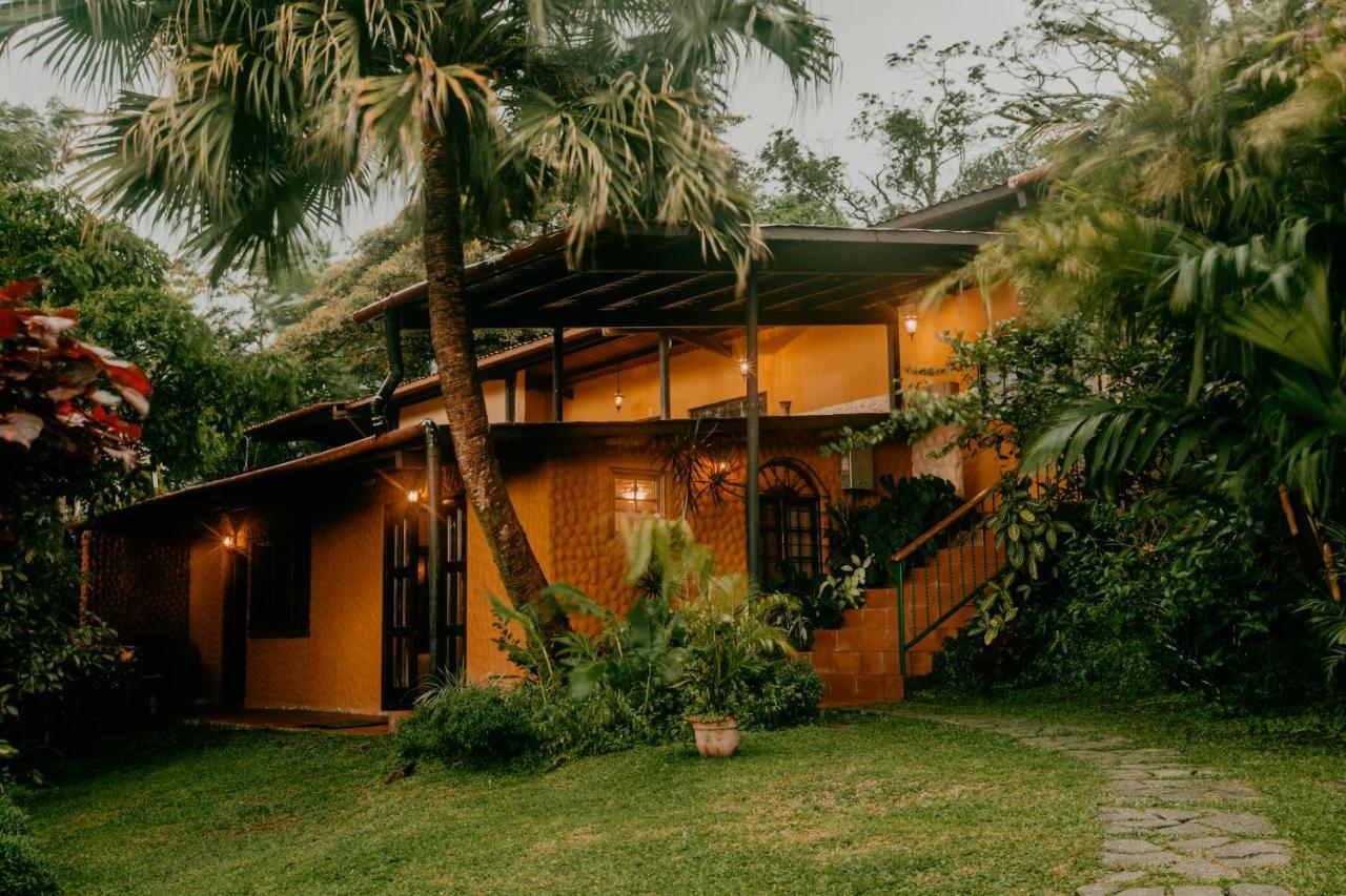 The Golden Frog Inn El Valle de Anton المظهر الخارجي الصورة