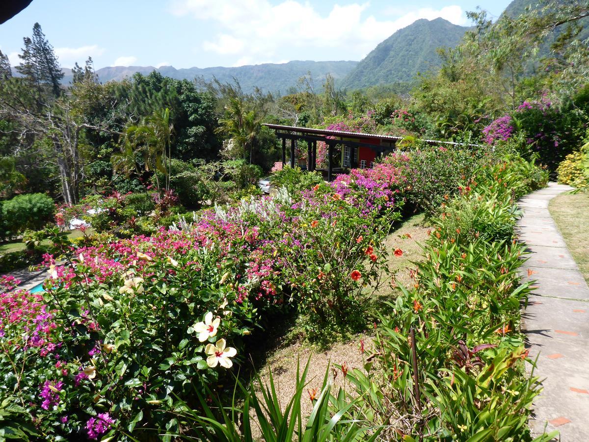 The Golden Frog Inn El Valle de Anton المظهر الخارجي الصورة