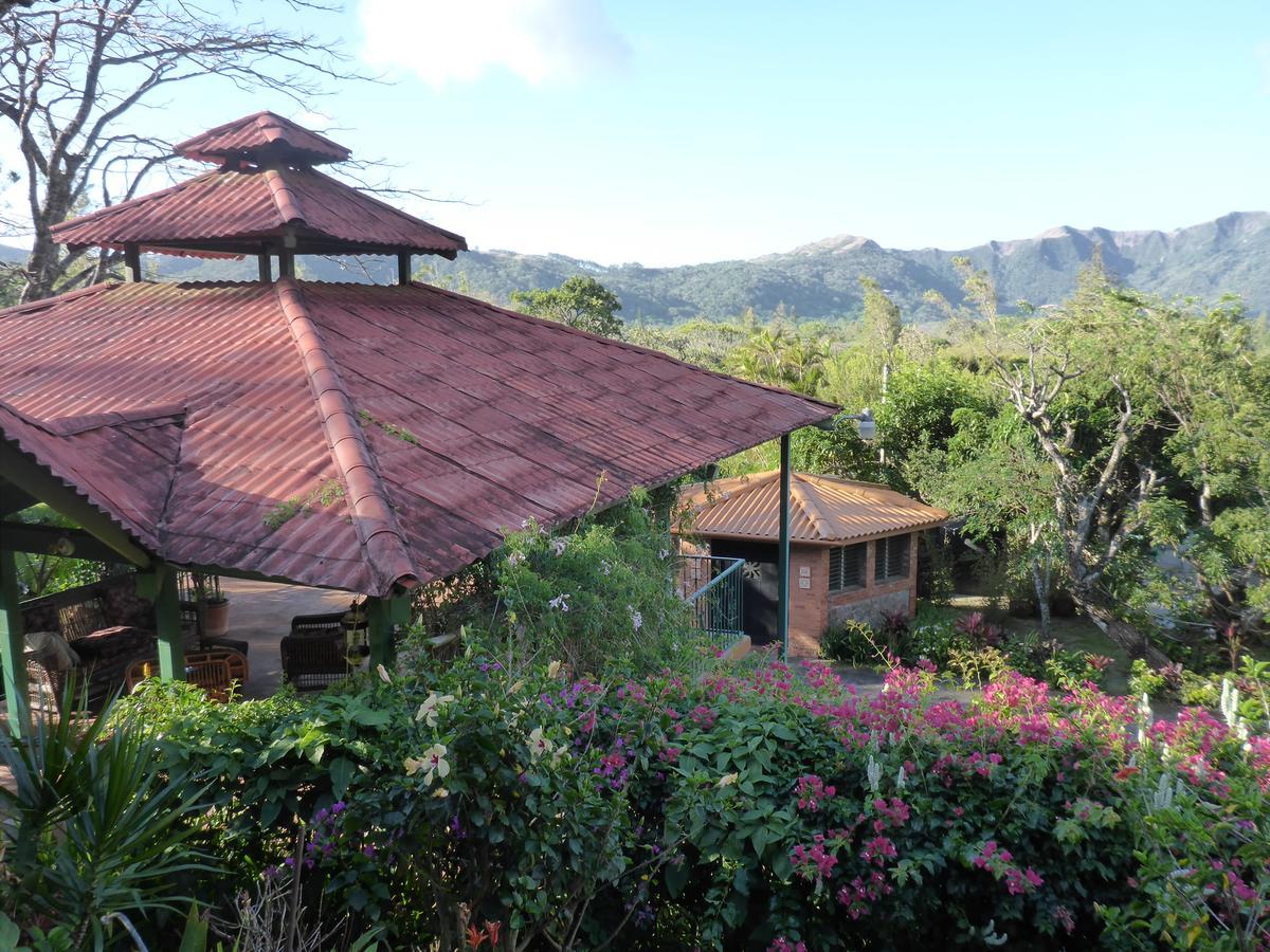 The Golden Frog Inn El Valle de Anton المظهر الخارجي الصورة