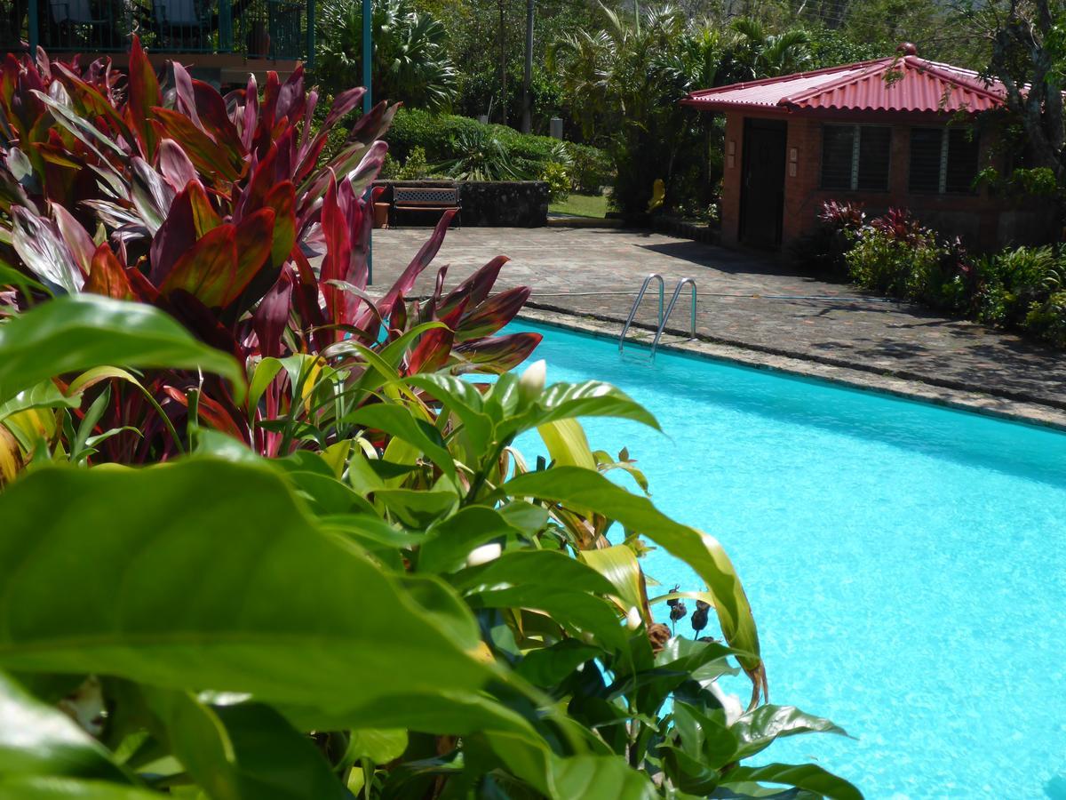 The Golden Frog Inn El Valle de Anton المظهر الخارجي الصورة