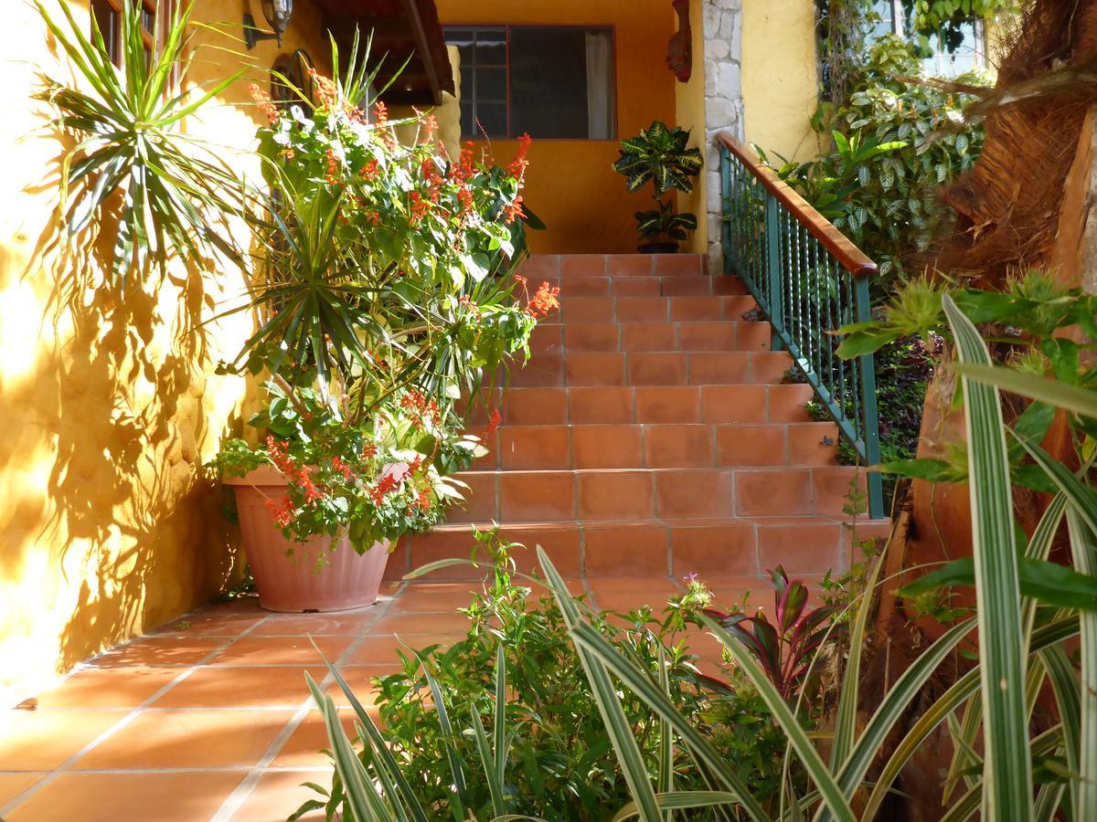 The Golden Frog Inn El Valle de Anton المظهر الخارجي الصورة