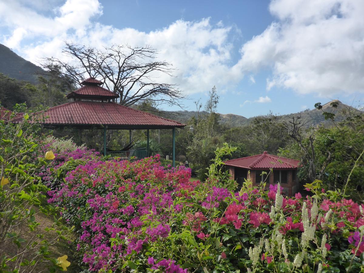 The Golden Frog Inn El Valle de Anton المظهر الخارجي الصورة