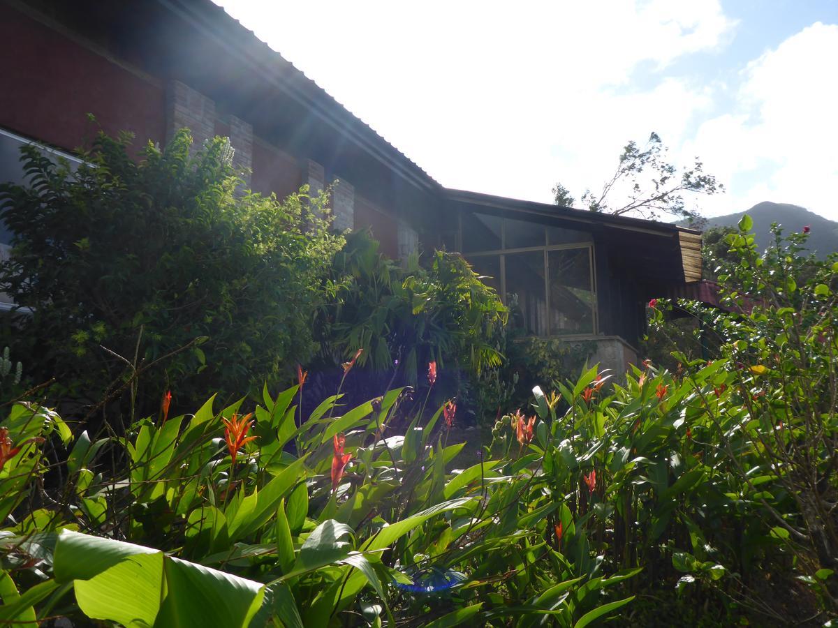 The Golden Frog Inn El Valle de Anton المظهر الخارجي الصورة