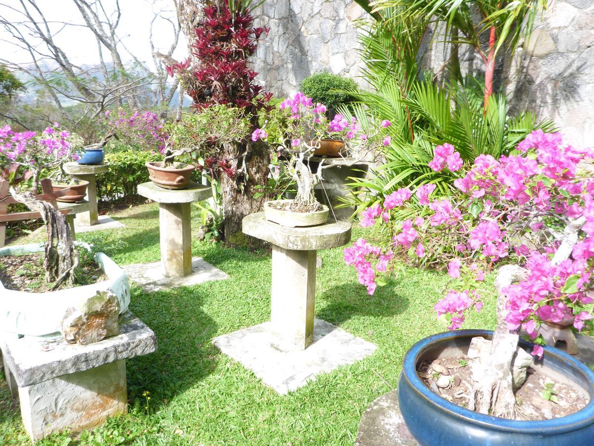 The Golden Frog Inn El Valle de Anton المظهر الخارجي الصورة