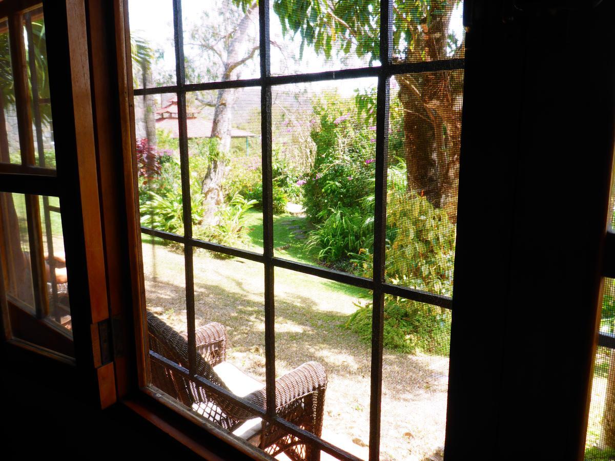 The Golden Frog Inn El Valle de Anton المظهر الخارجي الصورة